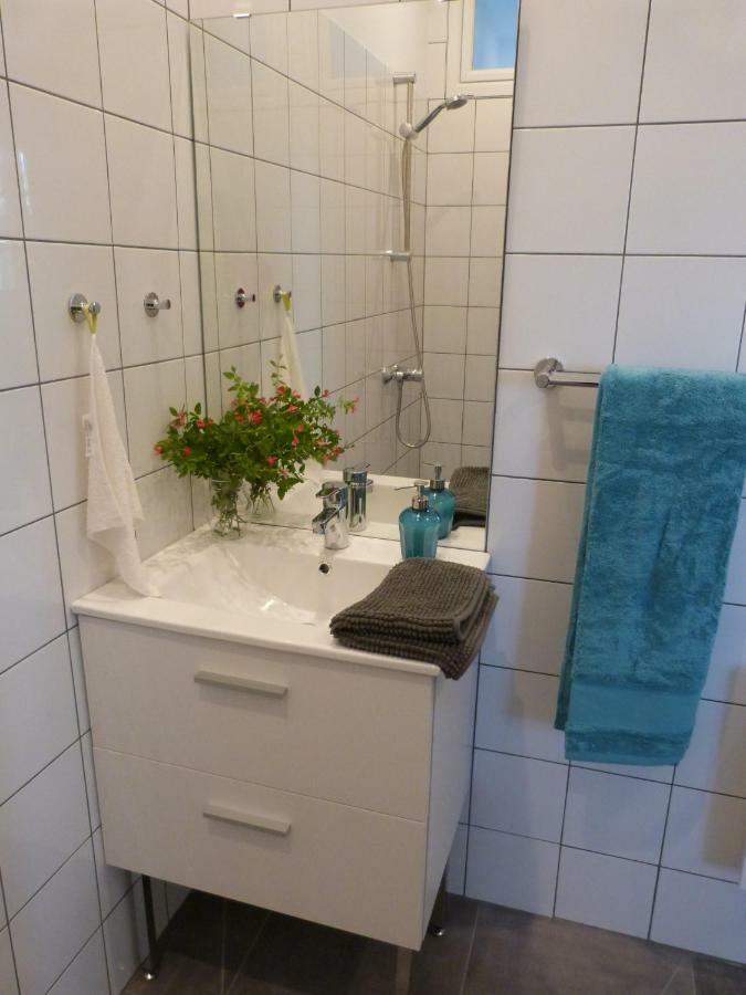 Des Figuiers Holiday home Carcassonne